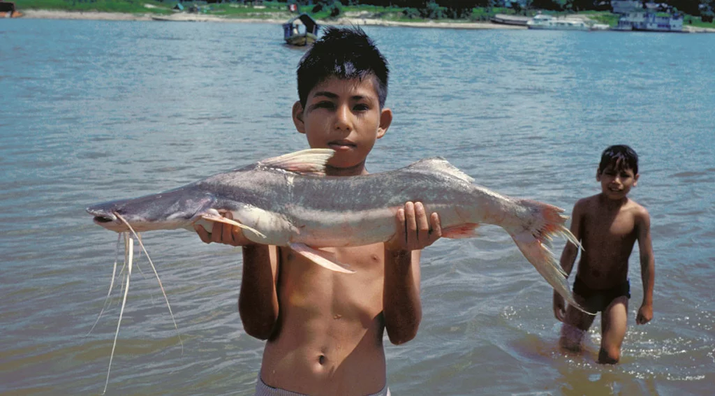 Conservando la Cuenca Amazónica Aguas Amazonicas