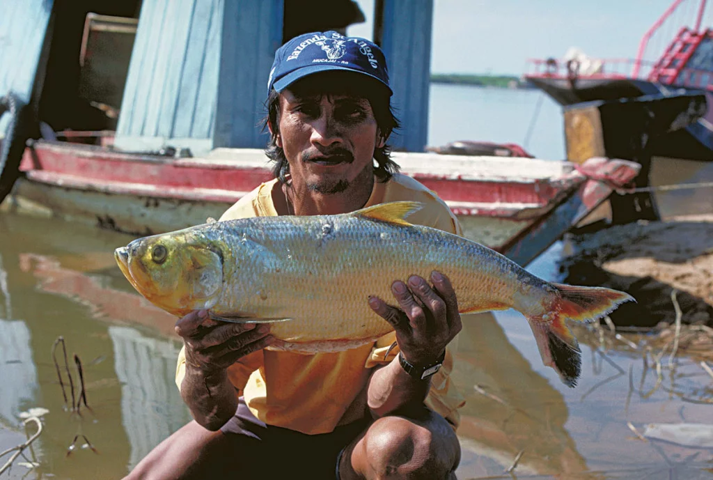 Conservando la Cuenca Amazónica Aguas Amazonicas