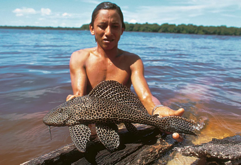 Conservando la Cuenca Amazónica Aguas Amazonicas