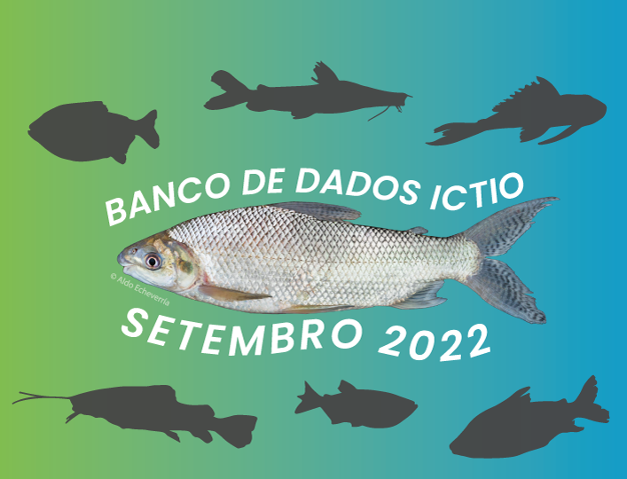 Ictio: O banco de dados de peixes e pesca na Amazônia continua em expansão