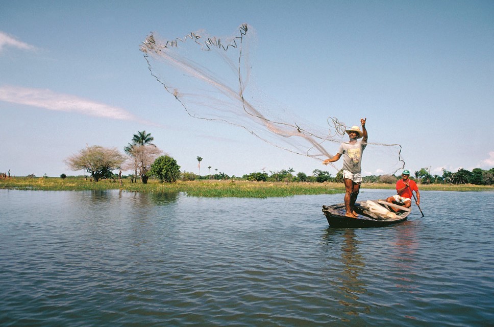O desafio a escala e o manejo integrado de bacias. Tarrafa sendo arremessada na planície inundável do rio Amazonas perto de Santarém durante a estiagem. Fotógrafo: Michael Goulding