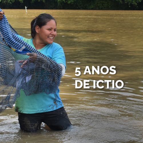 Ictio, cinco anos coletando dados de peixes da Amazônia