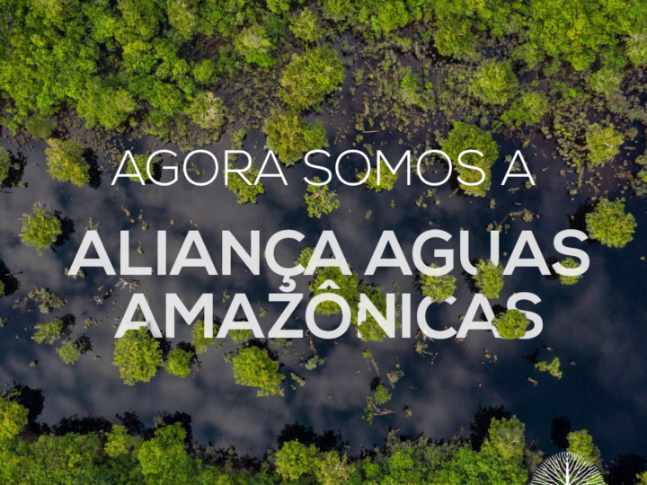 A Aliança Águas Amazônicas, uma oportunidade para fortalecer a governança da Bacia Amazônica