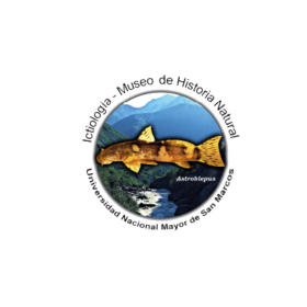 Conservando la Cuenca Amazónica Aguas Amazonicas