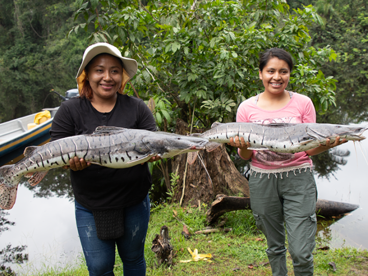 Perspectivas femininas sobre as mulheres na pesca amazônica
