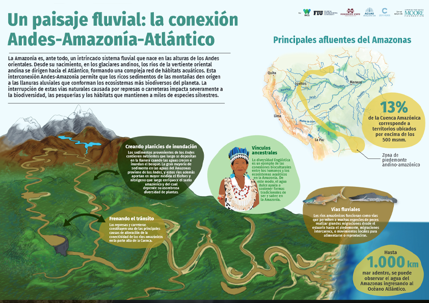 Conservando la Cuenca Amazónica Aguas Amazonicas