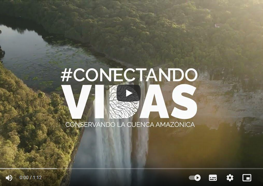 Conservando la Cuenca Amazónica Aguas Amazonicas