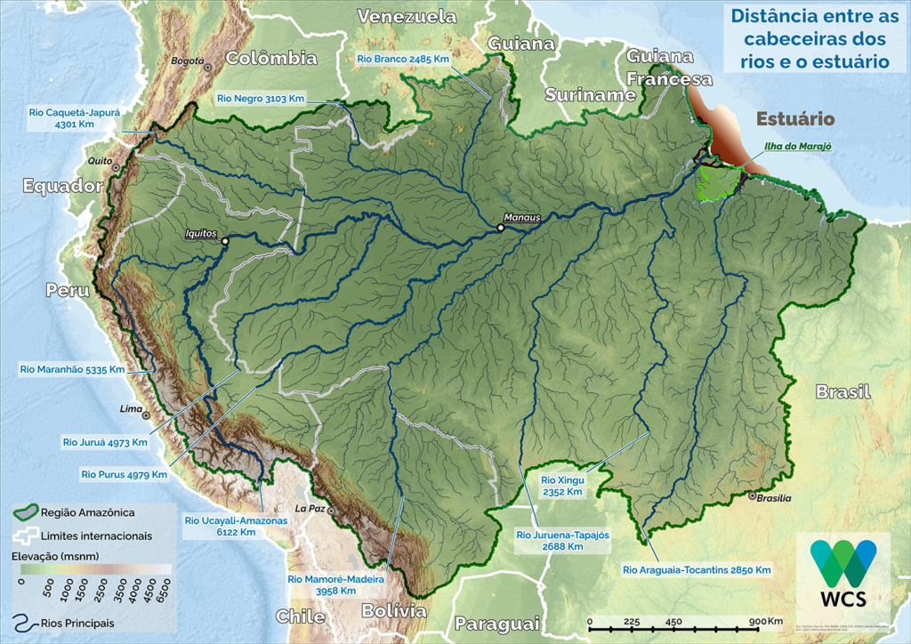 ÁGUAS o RIO AMAZONAS | ÁGUAS AMAZÔNICAS
