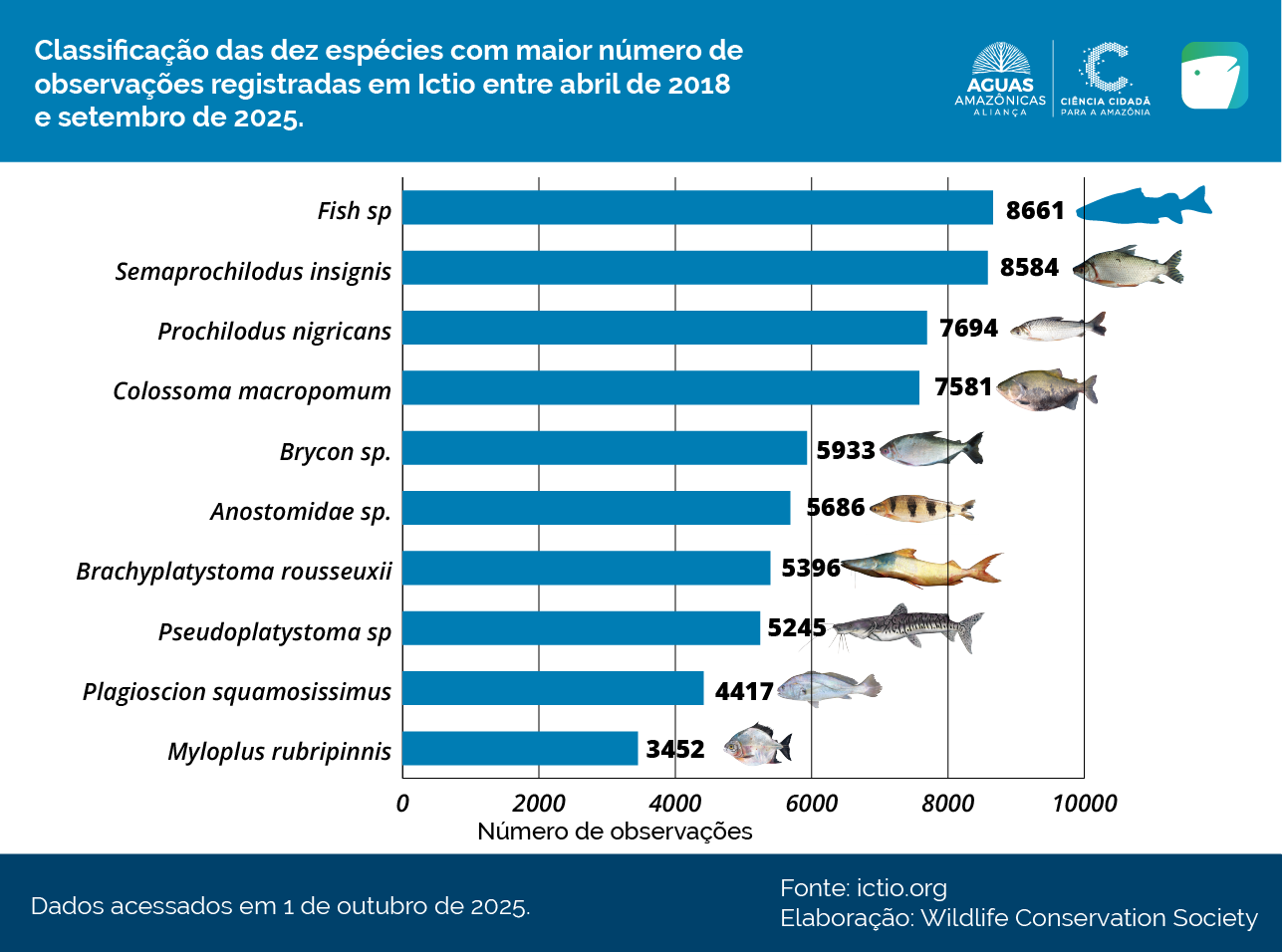 Conservando la Cuenca Amazónica Aguas Amazonicas