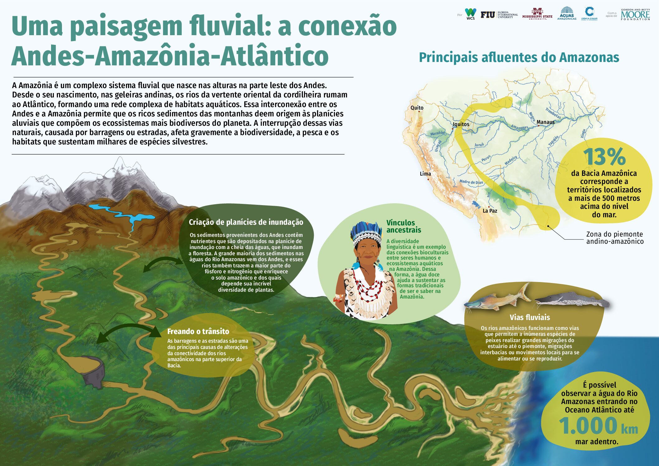 Conectividade aquática 3 Conservando la Cuenca Amazónica Aguas Amazonicas