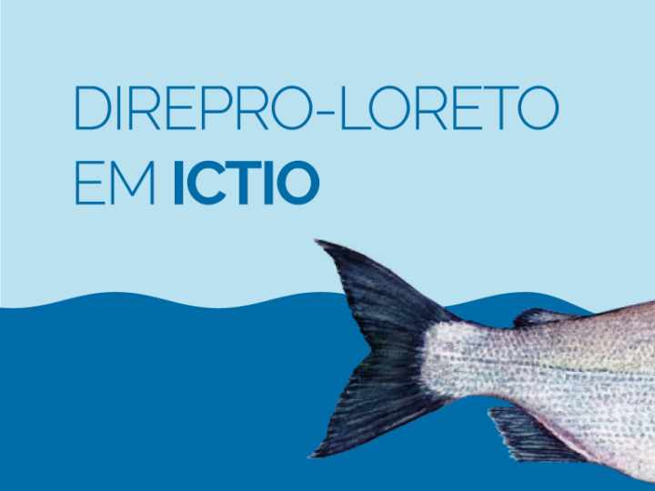 A Direção Regional de Produção de Loreto se integra a Ictio, a maior base de dados aberta sobre peixes amazônicos