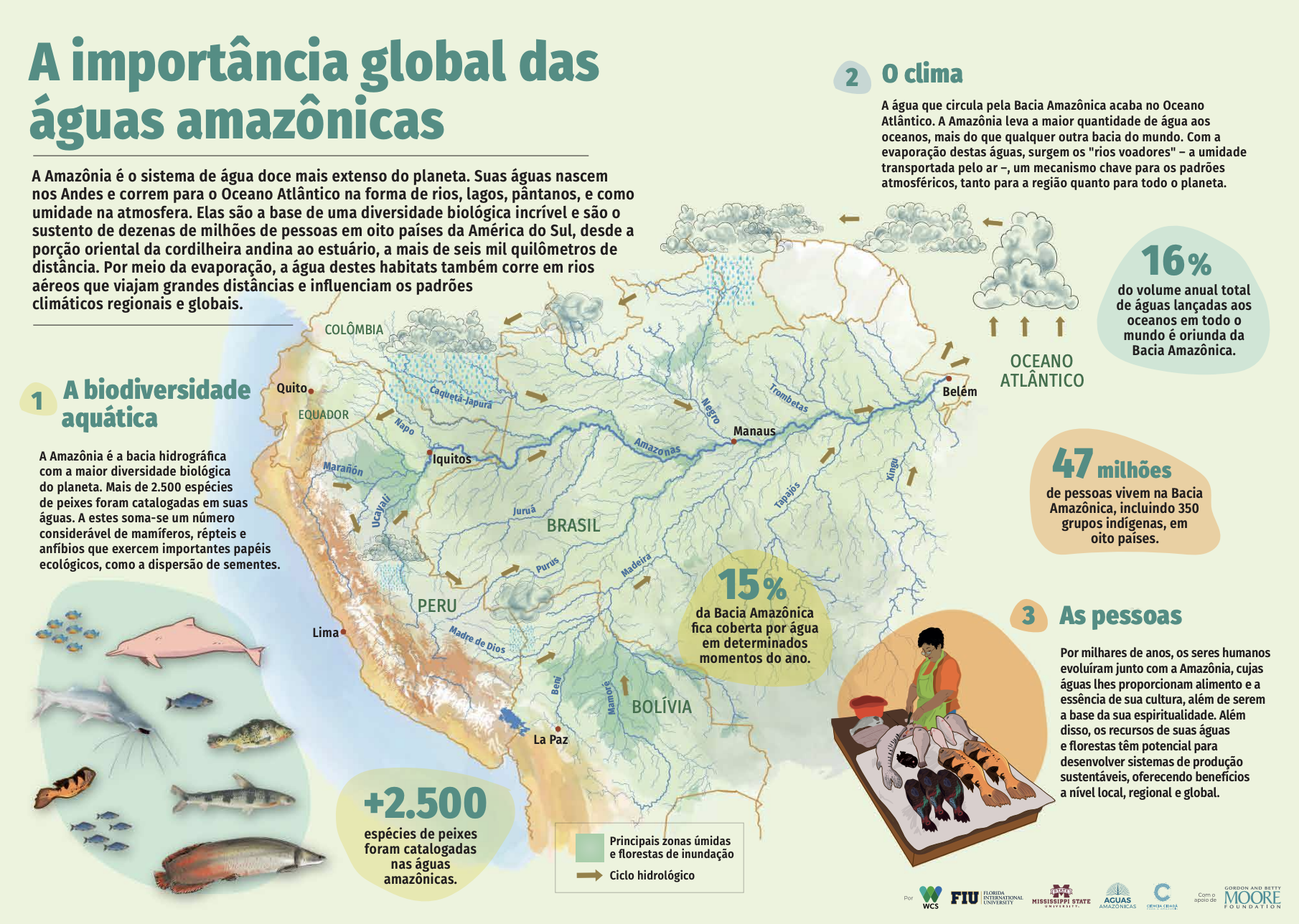 Conservando la Cuenca Amazónica Aguas Amazonicas