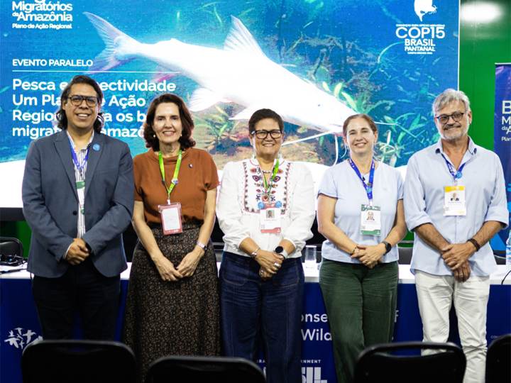 Países amazônicos aprovam Plano de Ação para conservar os bagres migratórios