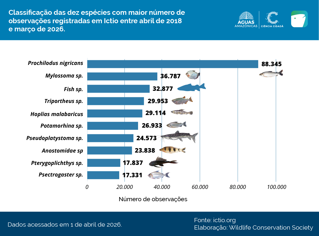 Ictio se consolida como a maior base de dados abertos sobre peixes e pesca da Amazônia 8 Conservando la Cuenca Amazónica Aguas Amazonicas