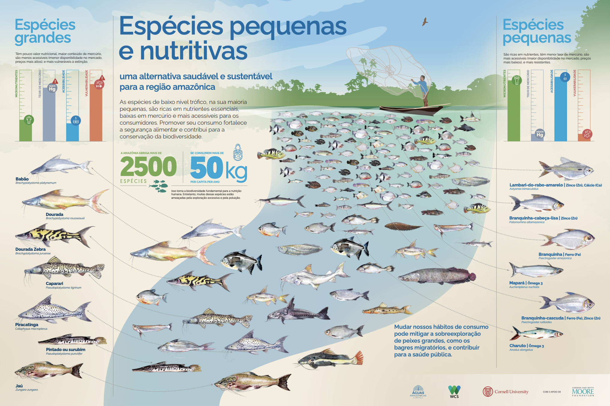 Conservando la Cuenca Amazónica Aguas Amazonicas