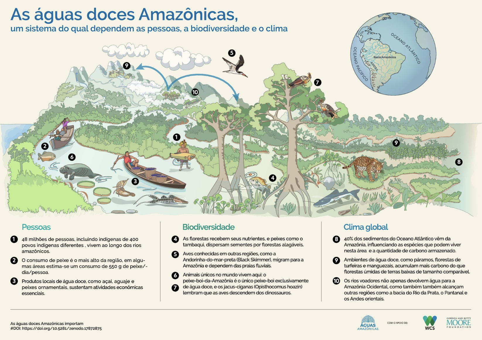Conservando la Cuenca Amazónica Aguas Amazonicas