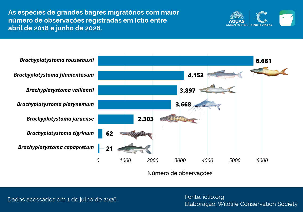 Ictio encerra um ciclo com mais de 648 mil registros de peixes amazônicos 5 Conservando la Cuenca Amazónica Aguas Amazonicas