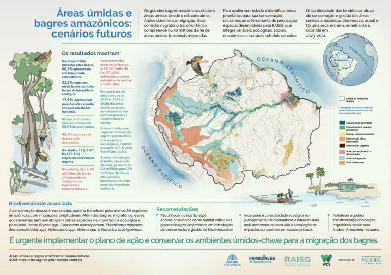 Conservando la Cuenca Amazónica Aguas Amazonicas