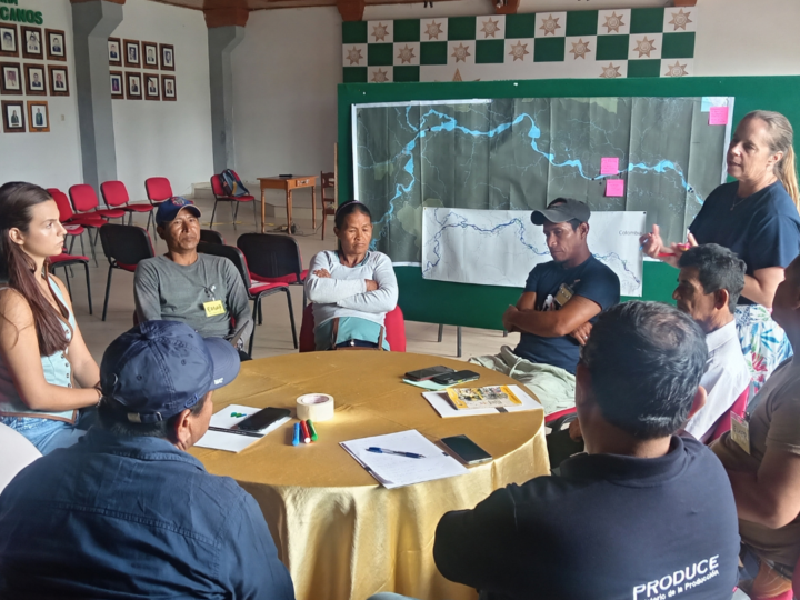 Organizações pesqueiras de grandes bagres de Loreto acordam uma agenda comum para contribuir para a implementação do Plano de Ação Regional para a Conservação dos Grandes Bagres